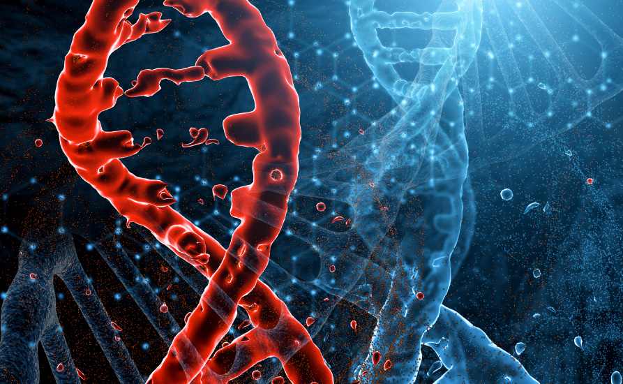 DNA-Stränge (Quelle: vladimircaribb/stock.adobe.com) DNA strands
